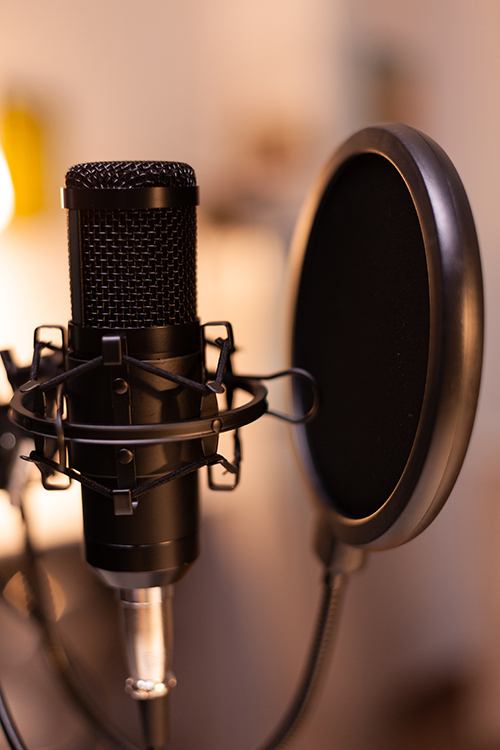 Professional microphone for podcast
